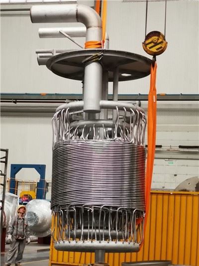 500kg/h LPG Elektrischer Wasserbadverdampfer Preis